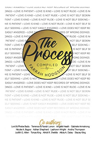9781645163091: The Process