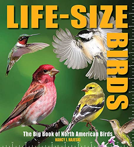 Beispielbild fr Life-Size Birds: The Big Book of North American Birds zum Verkauf von Goodwill Books