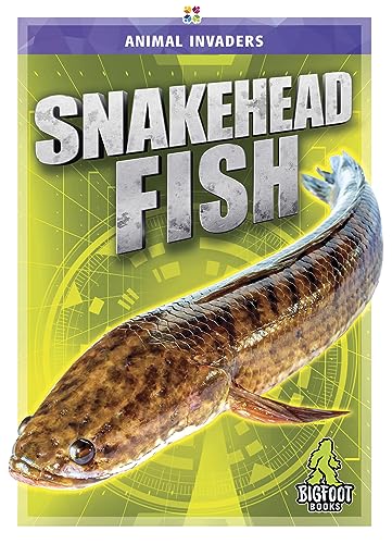 9781645195177: Snakehead Fish