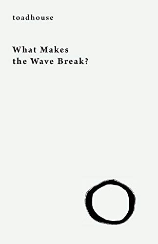 Beispielbild fr What Makes the Wave Break? zum Verkauf von Blackwell's