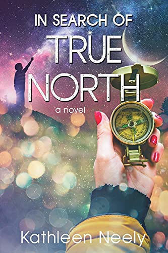 Beispielbild fr In Search of True North zum Verkauf von Better World Books