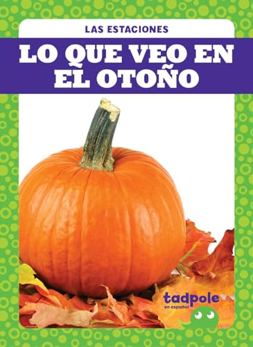 Stock image for Lo Que Veo En El Otoño (What I See Fall) for sale by ThriftBooks-Dallas