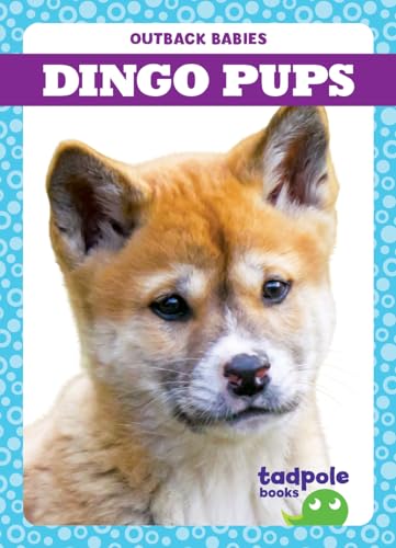 Stock image for Dingo Pups for sale by Red's Corner LLC