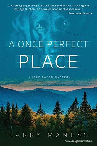 Stock image for A Once Perfect Place for sale by ThriftBooks-Dallas