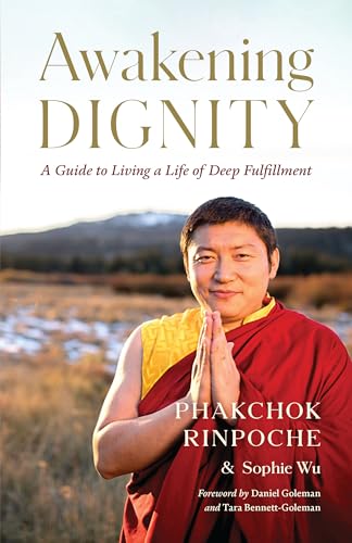 9781645470885: Awakening Dignity: A Guide to Living a Life of Deep Fulfillment
