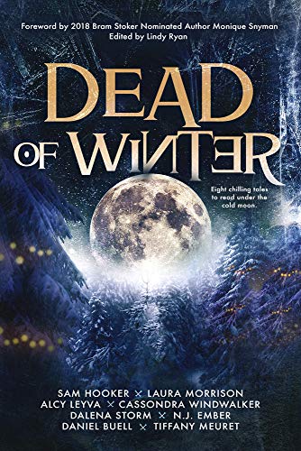 Stock image for Dead of Winter for sale by Half Price Books Inc.