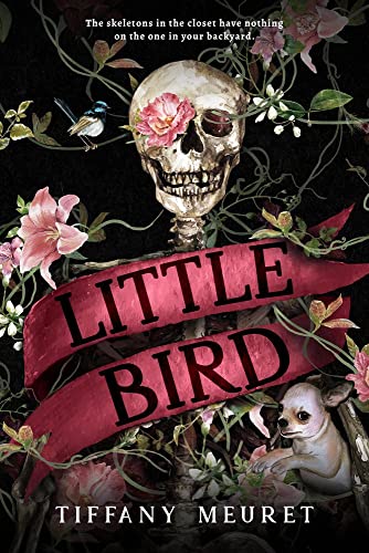 Stock image for Little Bird for sale by HPB-Ruby