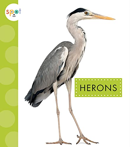 Stock image for Herons for sale by ThriftBooks-Dallas