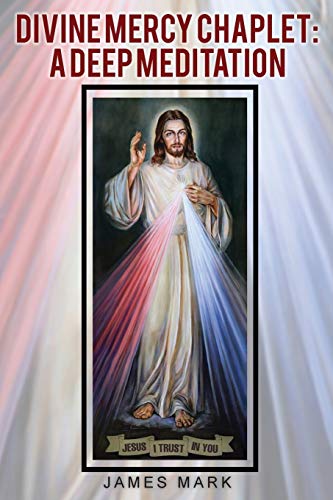 Beispielbild fr The Divine Mercy Chaplet: A Deep Meditation zum Verkauf von ThriftBooks-Atlanta
