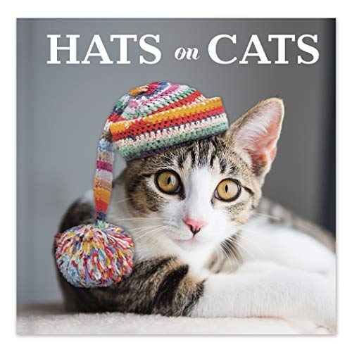 Beispielbild fr Hats on Cats zum Verkauf von SecondSale