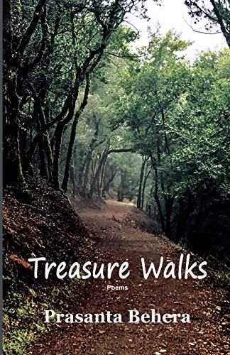 Stock image for Treasure Walks for sale by Lucky's Textbooks