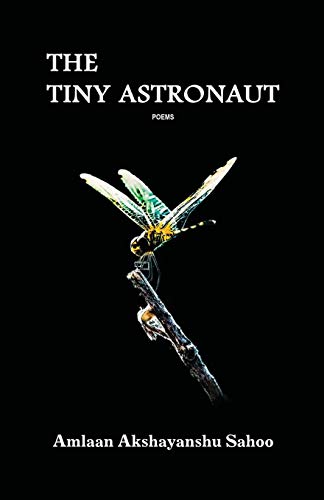 9781645601050: The Tiny Astronaut