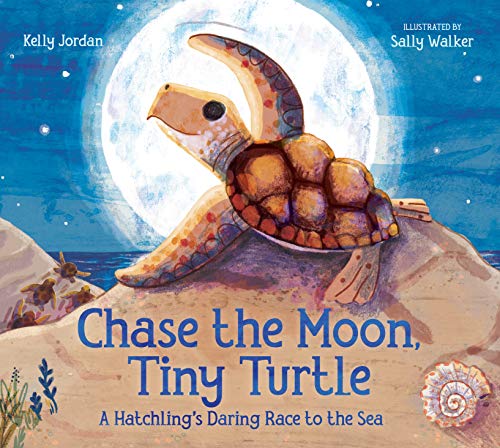 Imagen de archivo de Chase the Moon, Tiny Turtle: A Hatchlings Daring Race to the Sea a la venta por Goodwill of Colorado