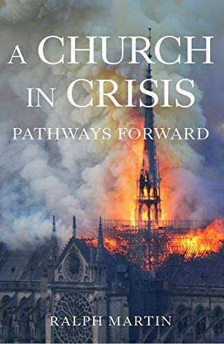 Imagen de archivo de A Church in Crisis: Pathways Forward a la venta por Zoom Books Company