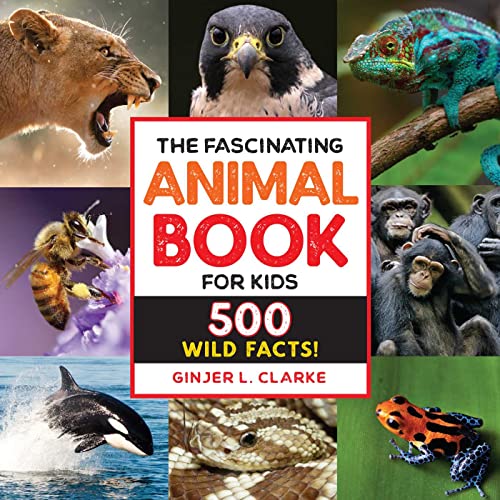 Beispielbild fr The Fascinating Animal Book for Kids: 500 Wild Facts! (Fascinating Facts) zum Verkauf von Books-FYI, Inc.