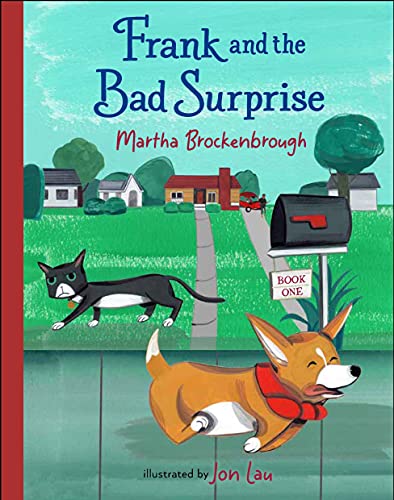 Imagen de archivo de Frank and the Bad Surprise (Frank and the Puppy, 1) a la venta por BooksRun