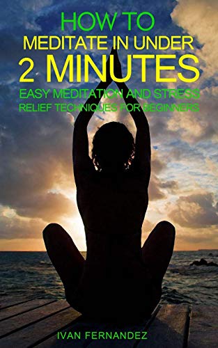 Imagen de archivo de HOW TO MEDITATE IN UNDER 2 MINUTES: EASY MEDITATION AND STRESS RELIEF TECHNIQUES FOR BEGINNERS a la venta por KALAMO LIBROS, S.L.
