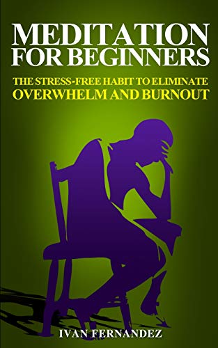 Imagen de archivo de MEDITATION FOR BEGINNERS: THE STRESS-FREE HABIT TO ELIMINATE OVERWHELM AND BURNOUT a la venta por KALAMO LIBROS, S.L.