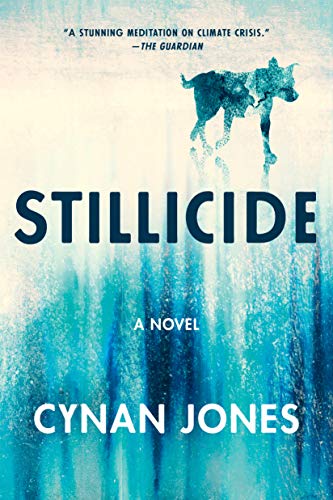 9781646220137: Stillicide: A Novel