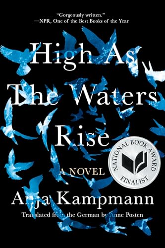 Imagen de archivo de High As the Waters Rise: A Novel a la venta por R Bookmark
