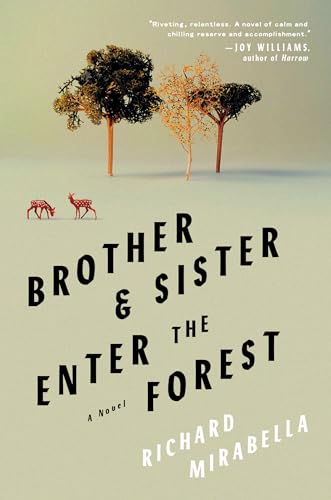 Beispielbild fr Brother & Sister Enter the Forest: A Novel zum Verkauf von BooksRun