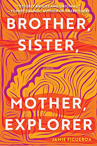 Beispielbild fr Brother, Sister, Mother, Explorer: A Novel zum Verkauf von BooksRun