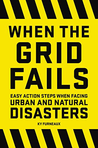 Imagen de archivo de When the Grid Fails: Easy Action Steps When Facing Urban and Natural Disasters a la venta por HPB-Ruby