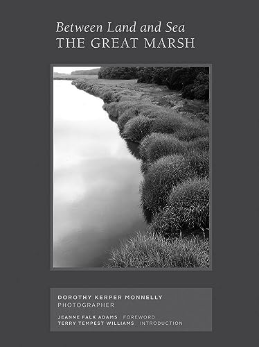 Stock image for Between Land and Sea: The Great Marsh: Photographs by Dorothy Kerper Monnelly for sale by Midtown Scholar Bookstore