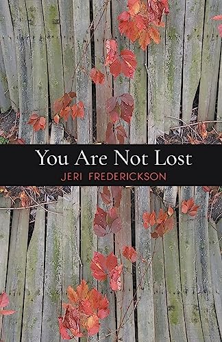 Beispielbild fr You Are Not Lost zum Verkauf von -OnTimeBooks-