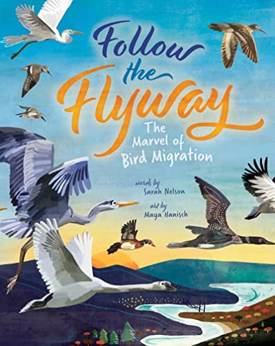 Beispielbild fr Follow the Flyway: The Marvel of Bird Migration zum Verkauf von Upward Bound Books