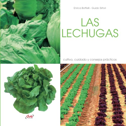 Stock image for LAS LECHUGAS: CULTIVO, CUIDADO Y CONSEJOS PRCTICOS for sale by KALAMO LIBROS, S.L.