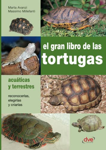 Imagen de archivo de El gran libro de las tortugas (Spanish Edition) a la venta por Books Unplugged