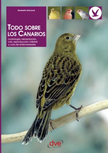 Imagen de archivo de Todo sobre los Canarios (Spanish Edition) a la venta por GF Books, Inc.
