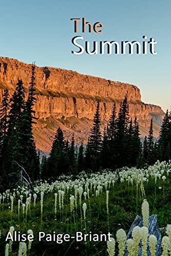 Stock image for The Summit for sale by Chiron Media
