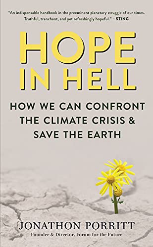 Beispielbild fr Hope in Hell: How We Can Confront the Climate Crisis & Save the Earth zum Verkauf von WorldofBooks