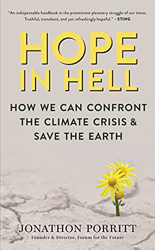 Stock image for Hope in Hell: How We Can Confront the Climate Crisis & Save the Earth for sale by ThriftBooks-Dallas