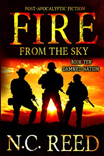 Beispielbild fr Fire From the Sky: Damned Nation zum Verkauf von BooksRun
