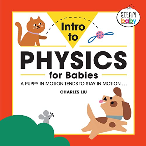 Imagen de archivo de Intro to Physics for Babies (STEAM Baby for Infants and Toddlers) a la venta por Big River Books