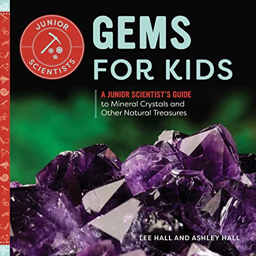 Stock image for Gems for Kids: A Junior Scientist's Guide to Mineral Crystals and Other Natural Treasures for sale by ZBK Books