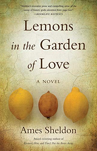 9781647420482: LEMONS IN THE GARDEN OF LOVE: A Novel