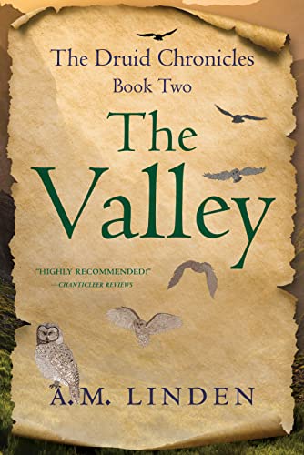 Beispielbild fr The Valley : The Druid Chronicles, Book Two zum Verkauf von Better World Books