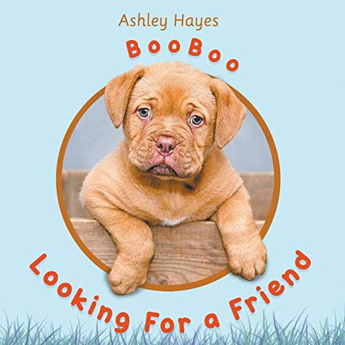 Stock image for Booboo Looking for a Friend for sale by ThriftBooks-Dallas