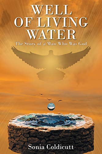 Imagen de archivo de Well of Living Water: The Story of a Man Who Was God a la venta por Chiron Media