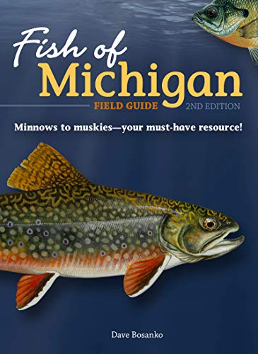 Stock image for FishofMichiganFieldGuide Format: Paperback for sale by INDOO