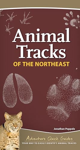 9781647550769: Animal Tracks of the Northeast: Your Way to Easily Identify Animal Tracks (Adventure Quick Guides)