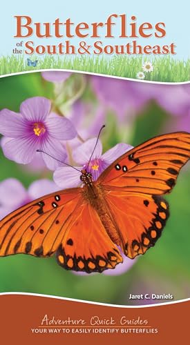 9781647552138: Butterflies of the South & Southeast: Your Way to Easily Identify Butterflies (Adventure Quick Guides)