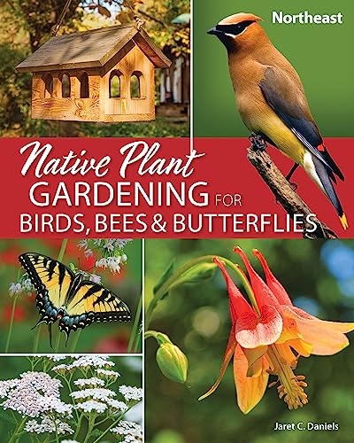 Beispielbild fr Native Plant Gardening for Birds, Bees & Butterflies: Northeast (Nature-Friendly Gardens) zum Verkauf von Monster Bookshop