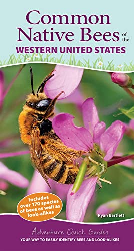 Stock image for Common Native Bees of the Western United States: Your Way to Easily Identify Bees and Look-Alikes (Adventure Quick Guides) for sale by Greenway