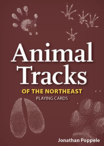 Stock image for Animal Tracks of the Northeast Playing Cards (Nature's Wild Cards) for sale by GF Books, Inc.