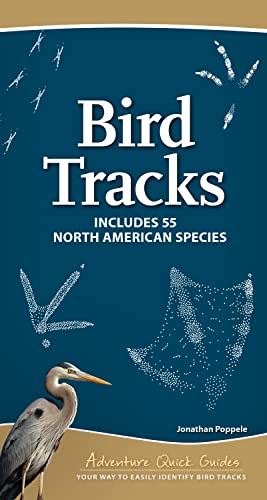 Beispielbild fr Bird Tracks: Easily Identify 55 Common North American Species (Adventure Quick Guides) zum Verkauf von Monster Bookshop